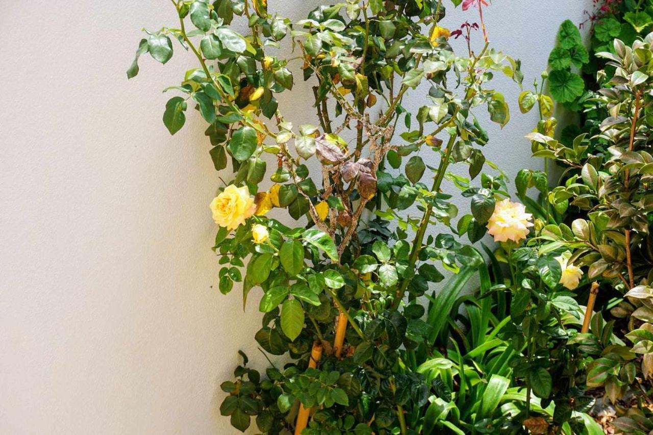 !Your Home In Madeira 푼샬 외부 사진