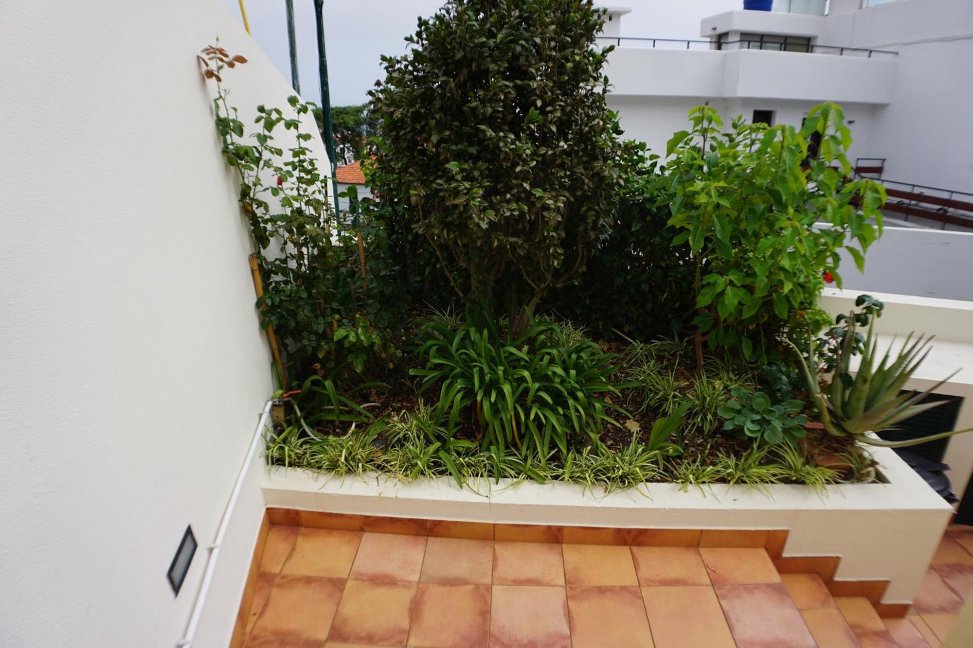 !Your Home In Madeira 푼샬 외부 사진